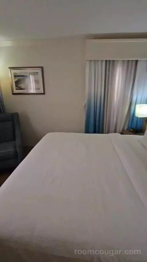 Suite, 1 King (#228) bed picture #2