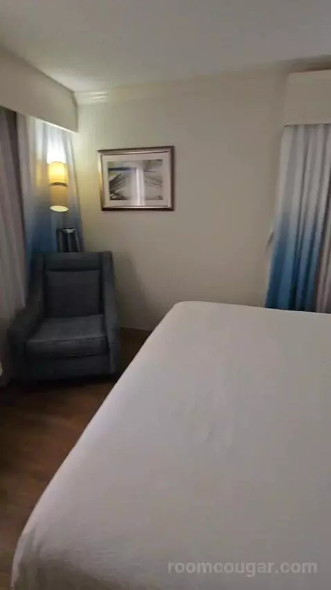 Suite, 1 King (#228) bed picture #4