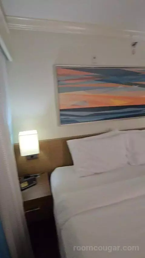 Suite, 1 King (#228) bed picture #7