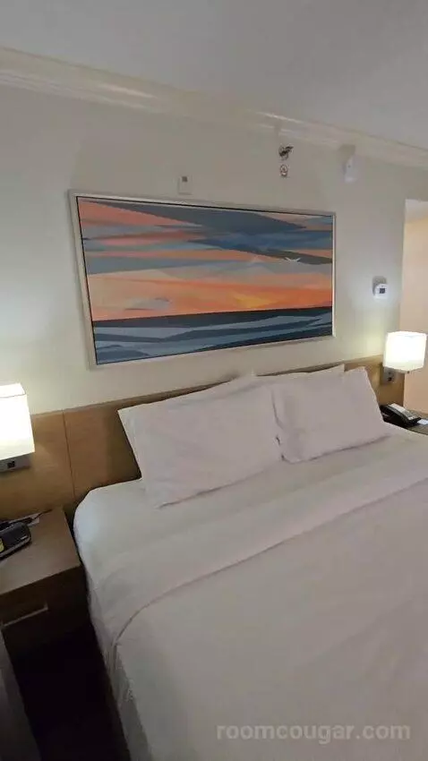 Suite, 1 King (#228) bed picture #10