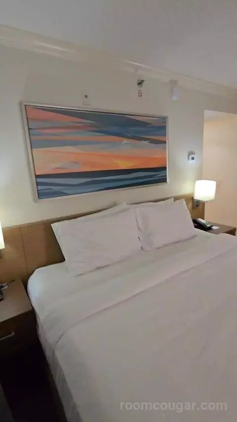 Suite, 1 King (#228) bed picture #11