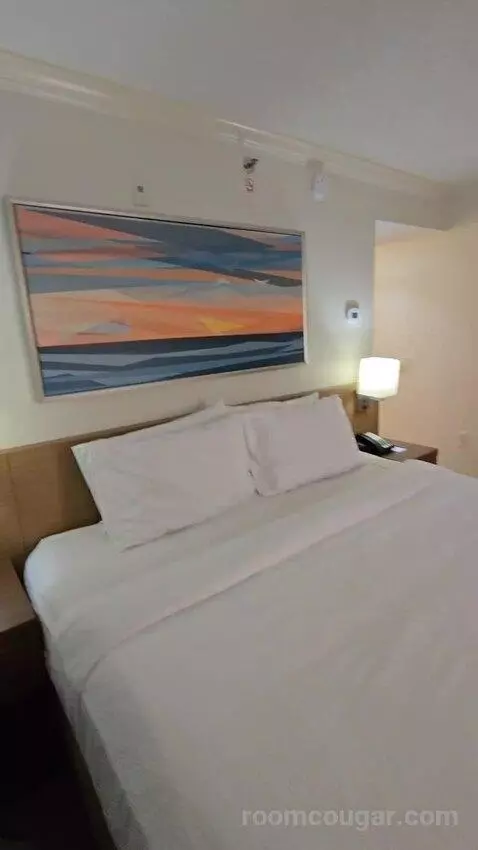 Suite, 1 King (#228) bed picture #12