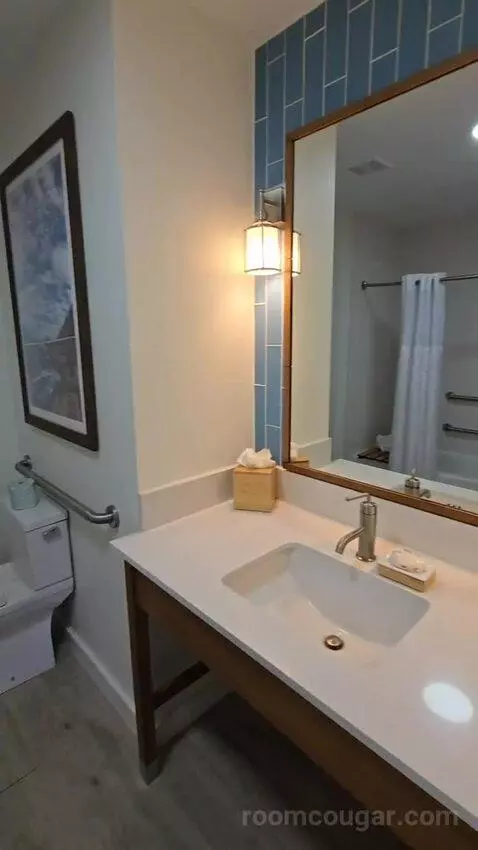 One Bedroom King Suite (#417) bathroom picture #3