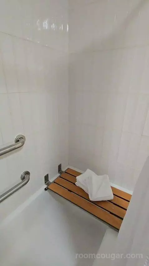 One Bedroom King Suite (#417) picture #15