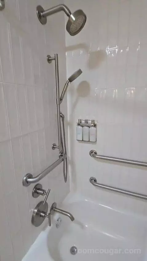 One Bedroom King Suite (#417) bathroom picture #6