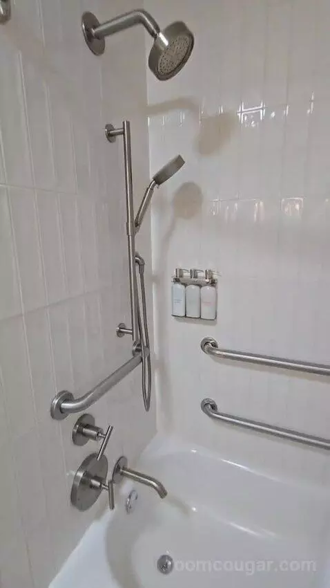 One Bedroom King Suite (#417) picture #16