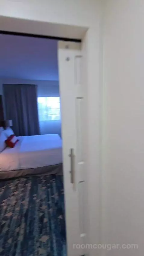 One Bedroom King Suite (#417) picture #20