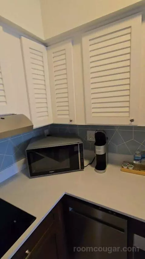 One Bedroom King Suite (#417) picture #3