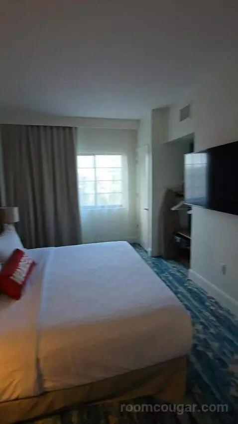 One Bedroom King Suite (#417) picture #21