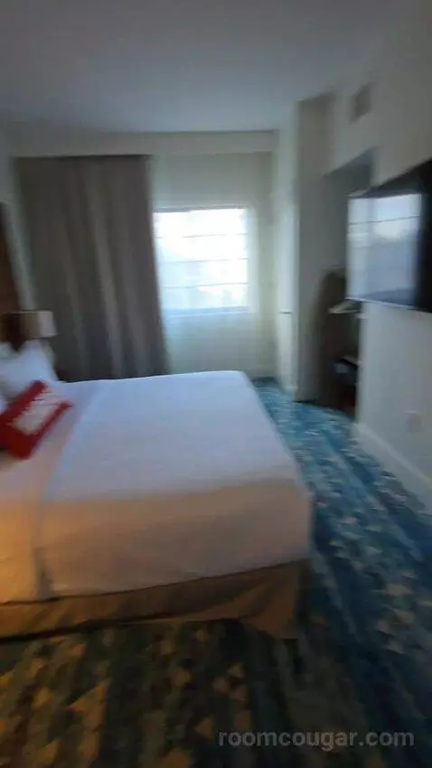 One Bedroom King Suite (#417) picture #22