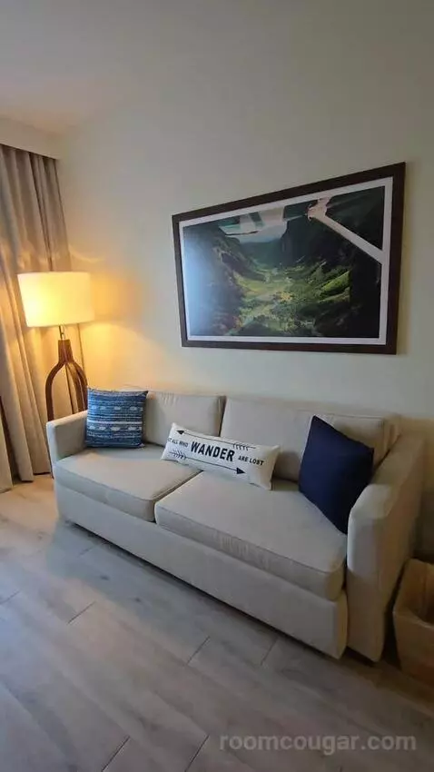 One Bedroom King Suite (#417) picture #23