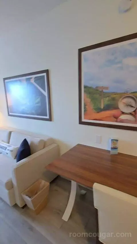 One Bedroom King Suite (#417) picture #5