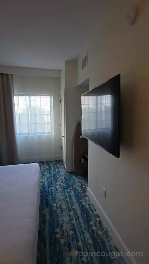 One Bedroom King Suite (#417) picture #10