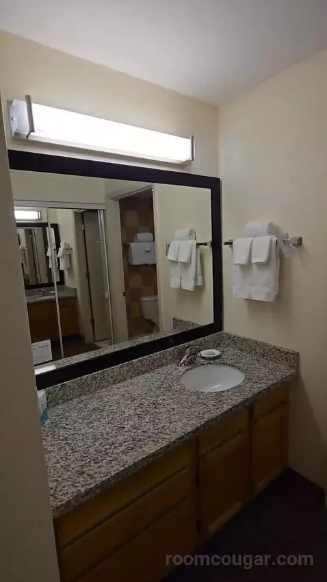 Queen Studio with Sofa Bed bathroom picture #1