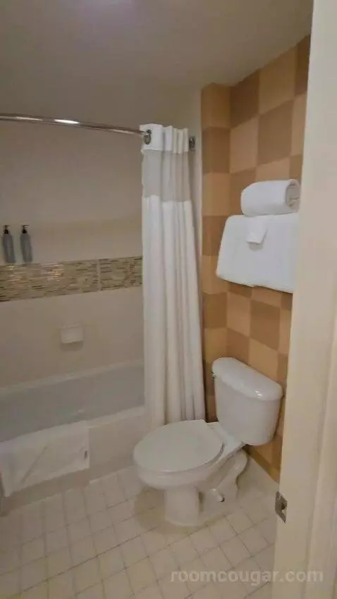 Queen Studio with Sofa Bed bathroom picture #5