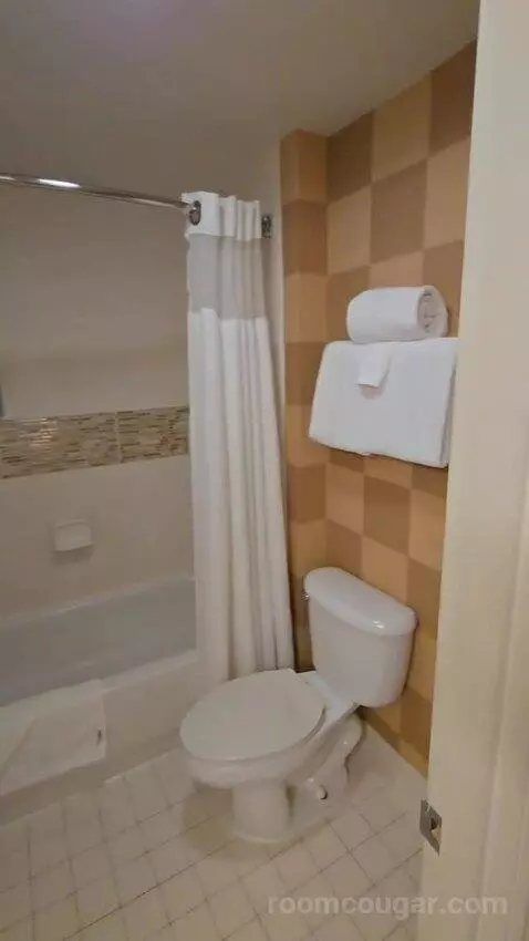 Queen Studio with Sofa Bed bathroom picture #6