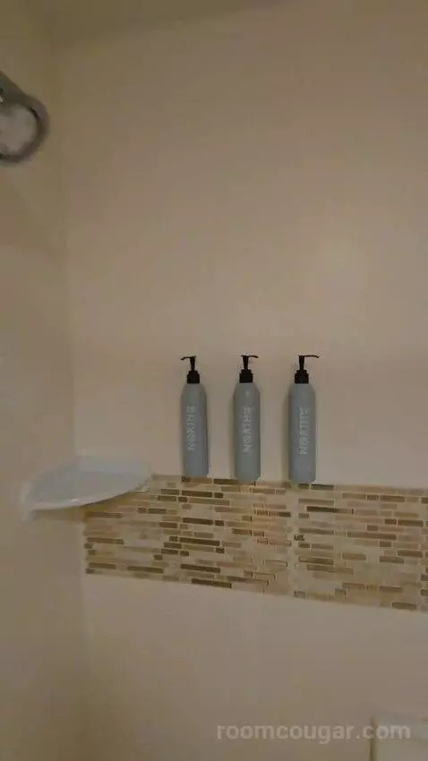 Queen Studio with Sofa Bed bathroom picture #7