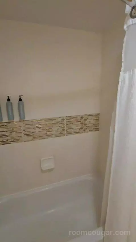 Queen Studio with Sofa Bed bathroom picture #9