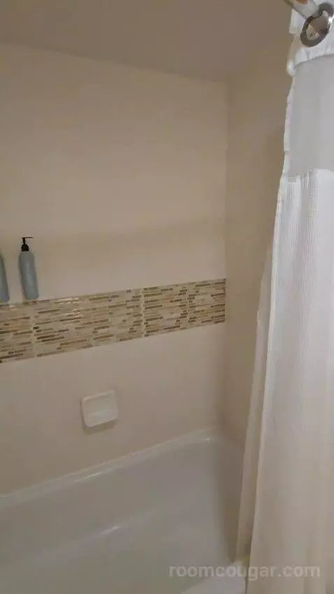 Queen Studio with Sofa Bed bathroom picture #10