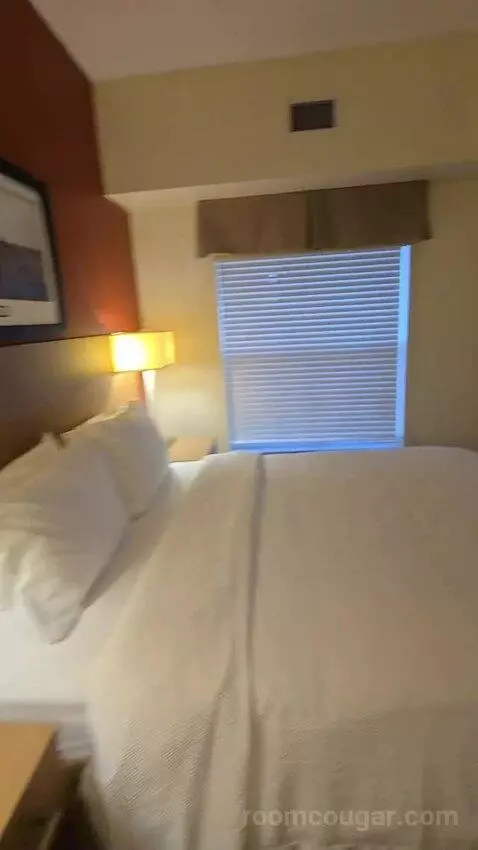 Queen Studio with Sofa Bed bed picture #9