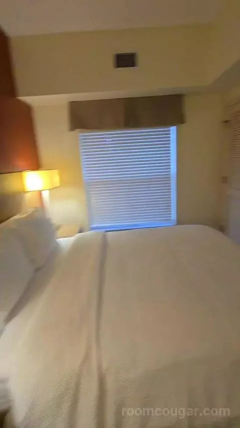 Queen Studio with Sofa Bed bed picture #10