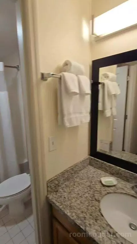 Two-Bedroom Suite bathroom picture #7