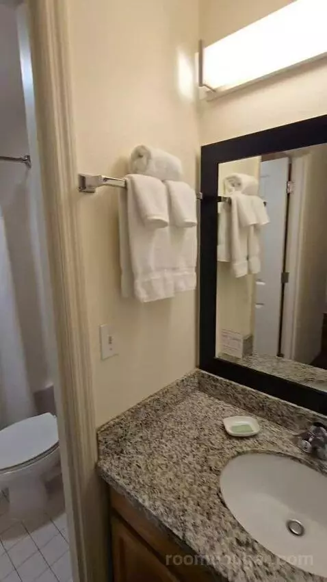 Two-Bedroom Suite bathroom picture #8