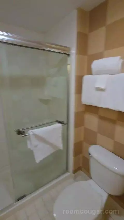 Two-Bedroom Suite bathroom picture #11