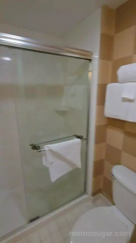 Two-Bedroom Suite bathroom picture #12