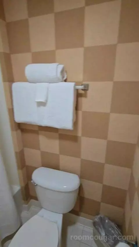 Two-Bedroom Suite bathroom picture #5