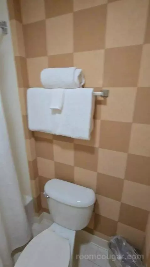 Two-Bedroom Suite bathroom picture #6