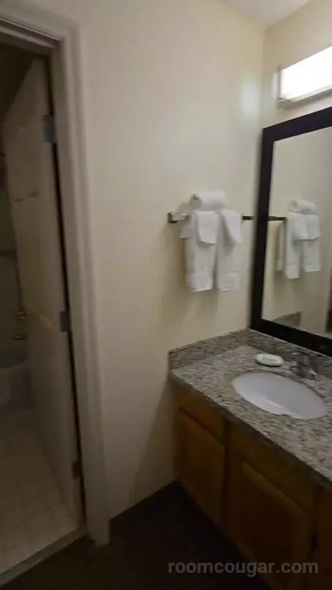 One-Bedroom Suite with Sofa Bed (#114) bathroom picture #6