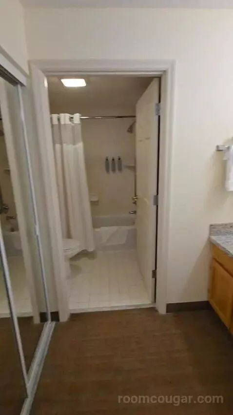 One-Bedroom Suite with Sofa Bed (#114) bathroom picture #2