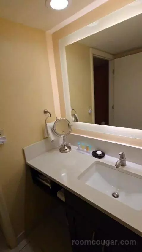Double Room with Two Double Beds and Balcony (#505) bathroom picture #2