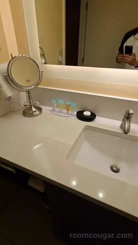Double Room with Two Double Beds and Balcony (#505) bathroom picture #9