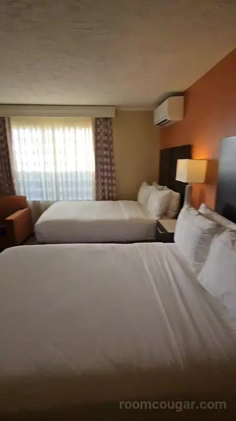 2 Double Beds Large Balcony Pool View (#512) bed picture #6