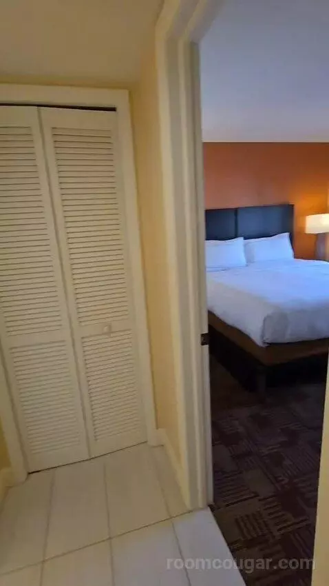 One-Bedroom King Suite with Balcony and Sofa Bed (#515) bed picture #1