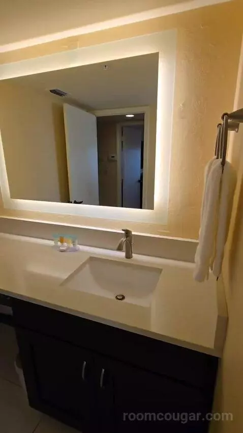 One-Bedroom King Suite with Balcony and Sofa Bed (#515) bathroom picture #6