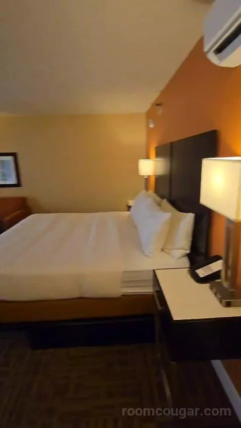 King Room with Large Balcony, Sofa Bed (#501) bed picture #3