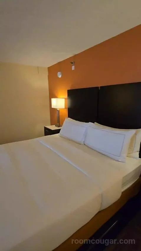 King Room with Large Balcony, Sofa Bed (#501) bed picture #4