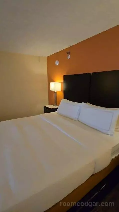 King Room with Large Balcony, Sofa Bed (#501) bed picture #5