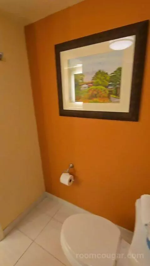 King Room with Large Balcony, Sofa Bed (#501) bathroom picture #7
