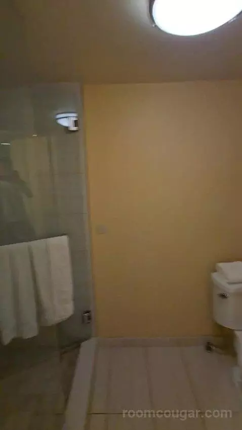 Double Room with Two Double Beds, Balcony and Pool View (#508) bathroom picture #4