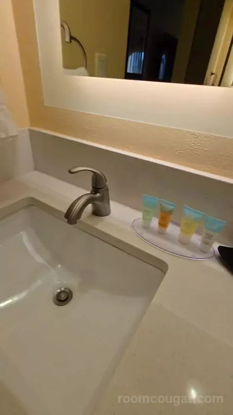 Double Room with Two Double Beds, Balcony and Pool View (#508) bathroom picture #7