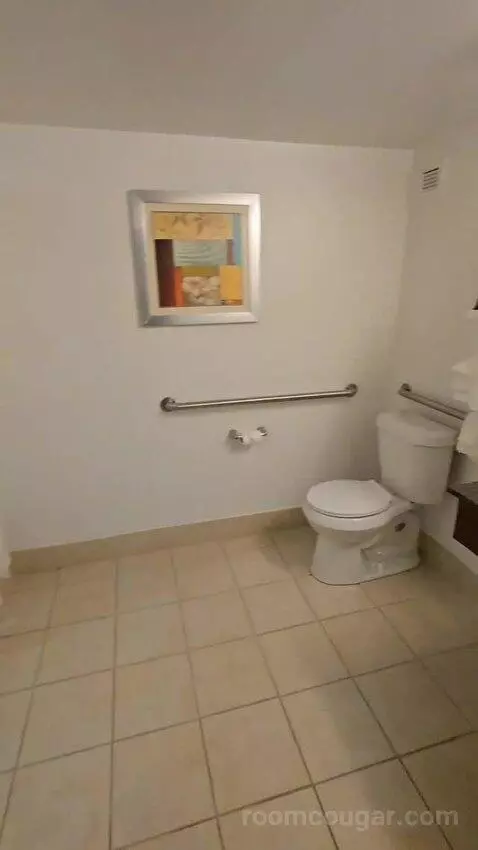 King Room - Disability Access (#122) bathroom picture #1