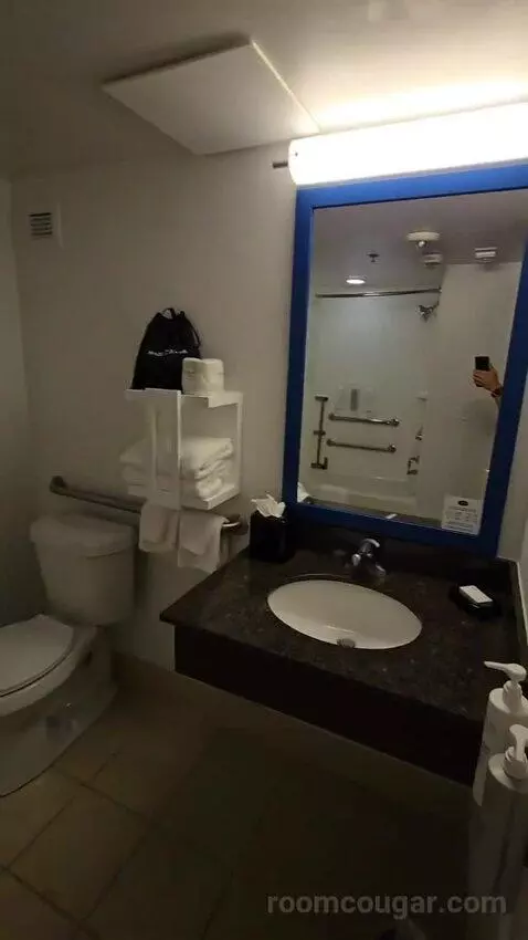 King Room - Disability Access (#122) bathroom picture #3