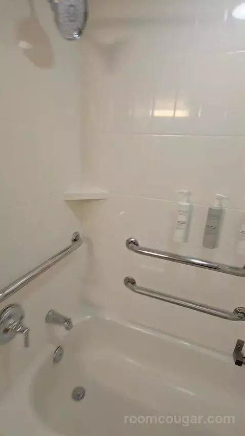 King Room - Disability Access (#122) bathroom picture #6