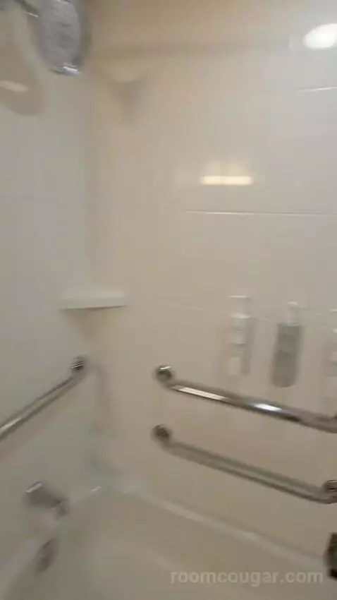 King Room - Disability Access (#122) bathroom picture #7
