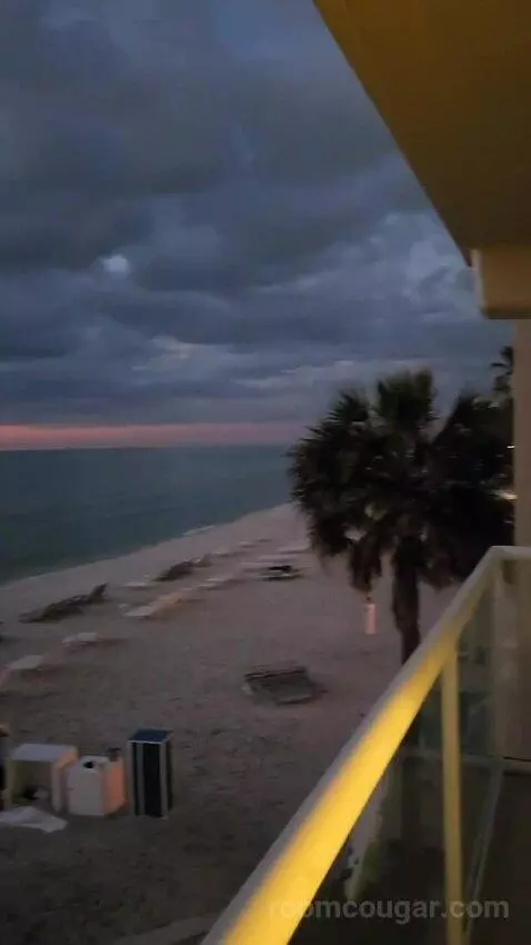 One-Bedroom Suite - Gulf Front (#330) view picture #6