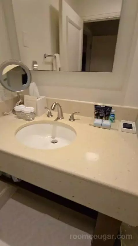Two-Bedroom Suite with City View (#410) bathroom picture #3